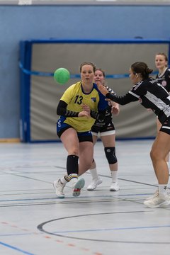 Bild 253 - F HSG Pinnau2 - Rellinger TV2 : Ergebnis: 27:20